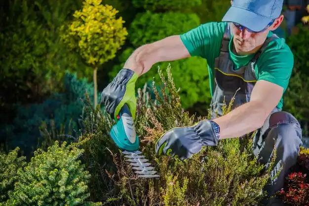 landscaping services Huntington Woods